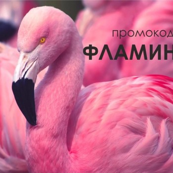 Промокод Аптека.ру на скидку 3% в ноябре 2023