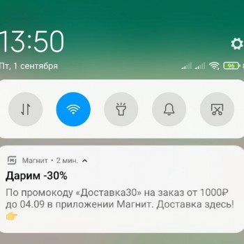 Скидка 30% от 1000 рублей в Магнит Доставке в сентябре