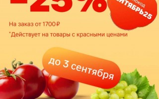 Скидка 25% от 1700 рублей в Магнит Доставке