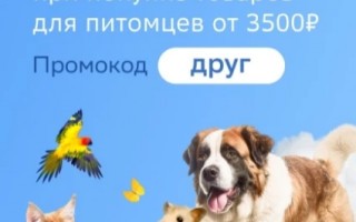 Скидка 700 рублей на зоотовары в СберМегаМаркете