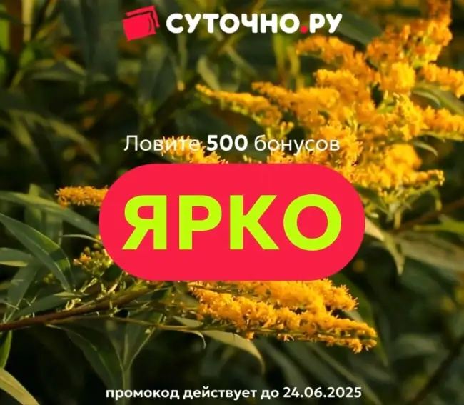 500 бонусов по промокоду на Суточно.ру до 24 июня