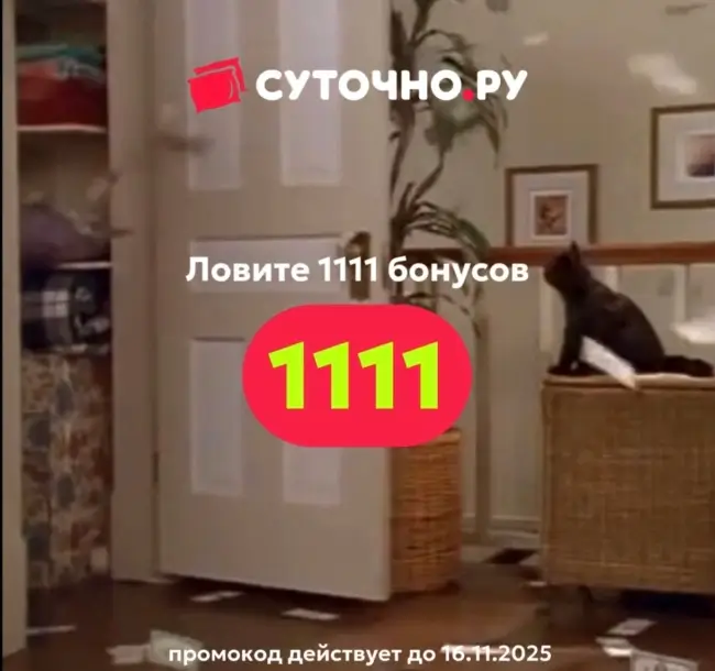 1111 бонусов по промокоду на Суточно.ру до 16 ноября