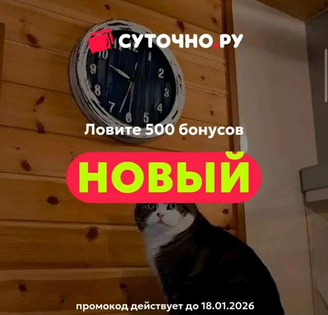 500 бонусов по промокоду на Суточно.ру до 18 января
