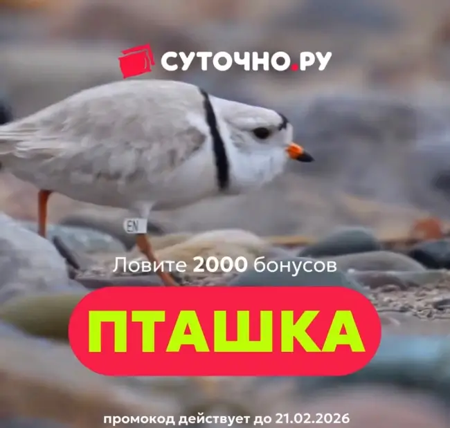 2000 бонусов по промокоду на Суточно.ру до 21 февраля