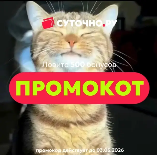 500 бонусов по промокоду на Суточно.ру до 3 марта
