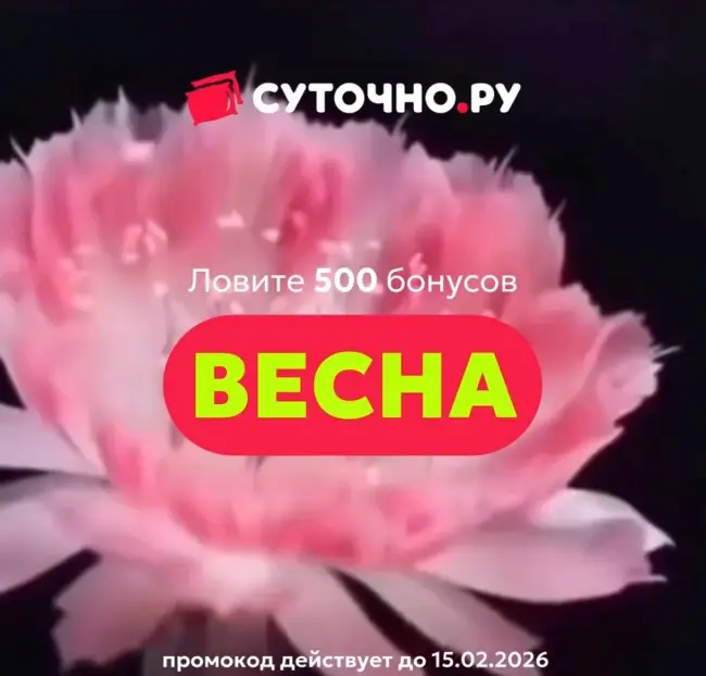 500 бонусов по промокоду на Суточно.ру до 15 февраля