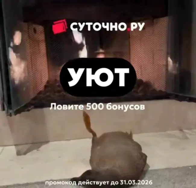 500 бонусов по промокоду на Суточно.ру до 31 марта