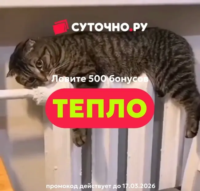 500 бонусов по промокоду на Суточно.ру до 17 марта