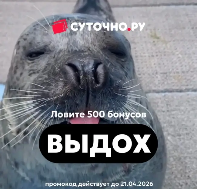 500 бонусов по промокоду на Суточно.ру до 21 апреля