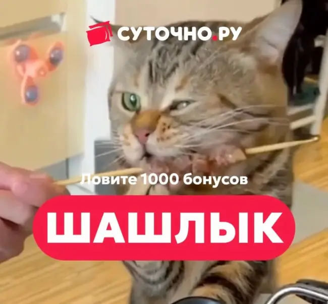 1000 бонусов по промокоду на Суточно.ру до 27 апреля