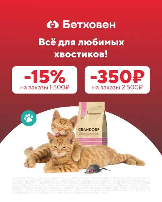 Cкидка 350 рублей на заказ по промокоду в Бетховен