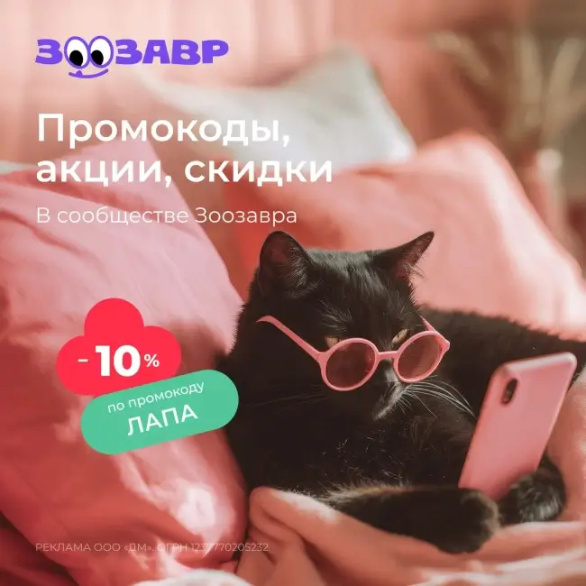 Скидка 10% на первый заказ по промокоду в Зоозавр